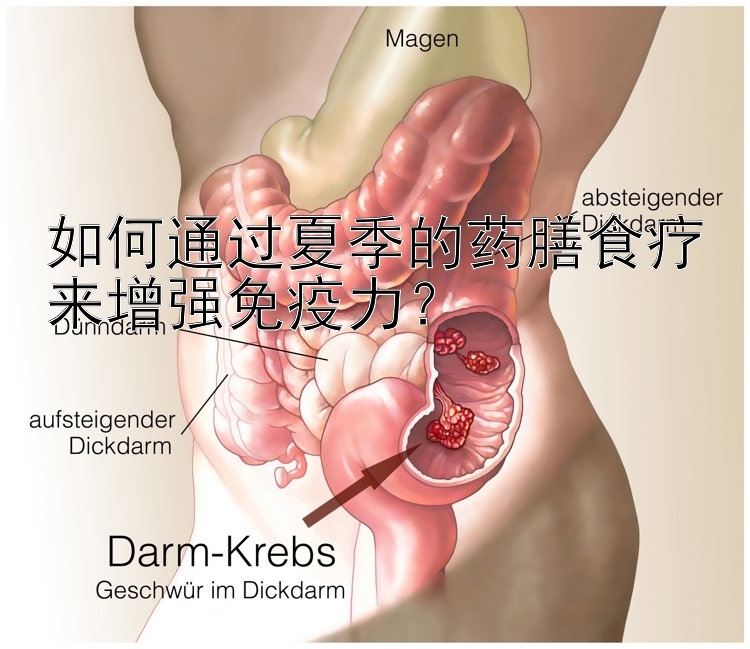 如何通过夏季的药膳食疗来增强免疫力？